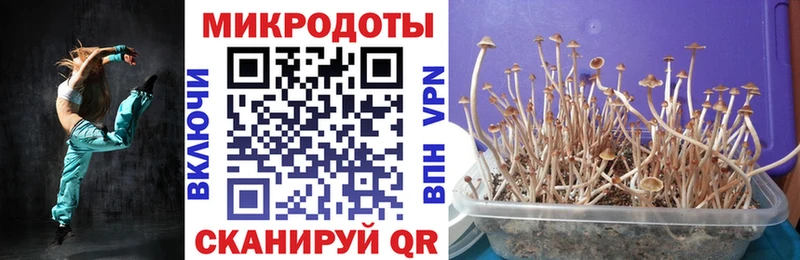 Галлюциногенные грибы Magic Shrooms  Туймазы 
